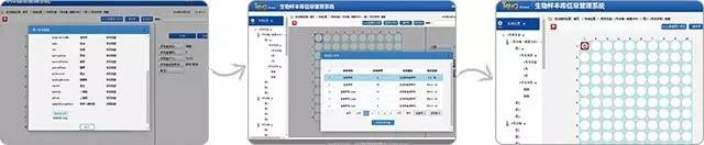 1487741326471901.jpg 14.jpg