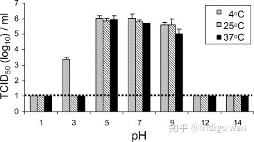 1590458615246292.jpg 6.jpg