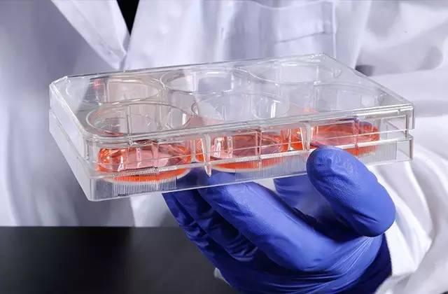 1598945401376500.jpg 4e6900043a9db561e8a9.jpg