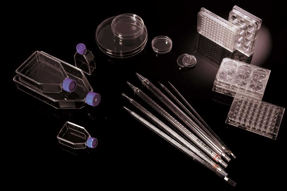 1616742089525277.jpg 细胞培养.jpg