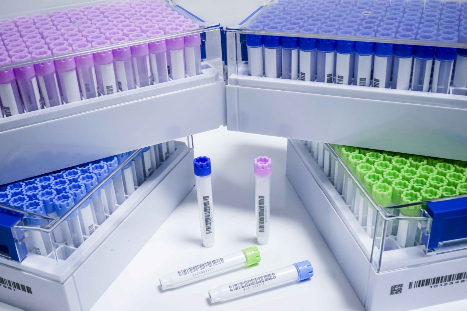 1630891403900272.jpg DSC04646.jpg