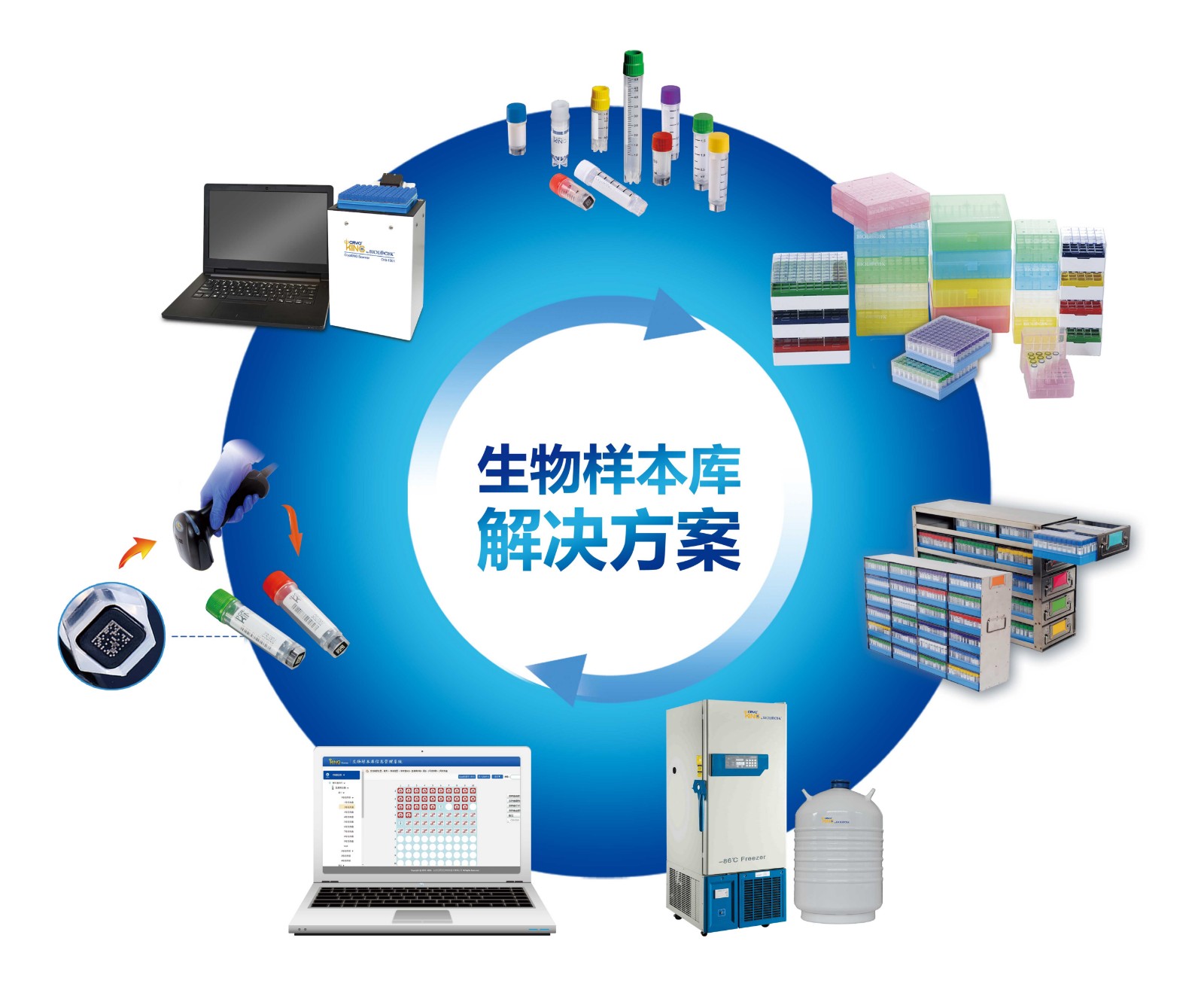 1630891564944790.jpg 圆环图.jpg