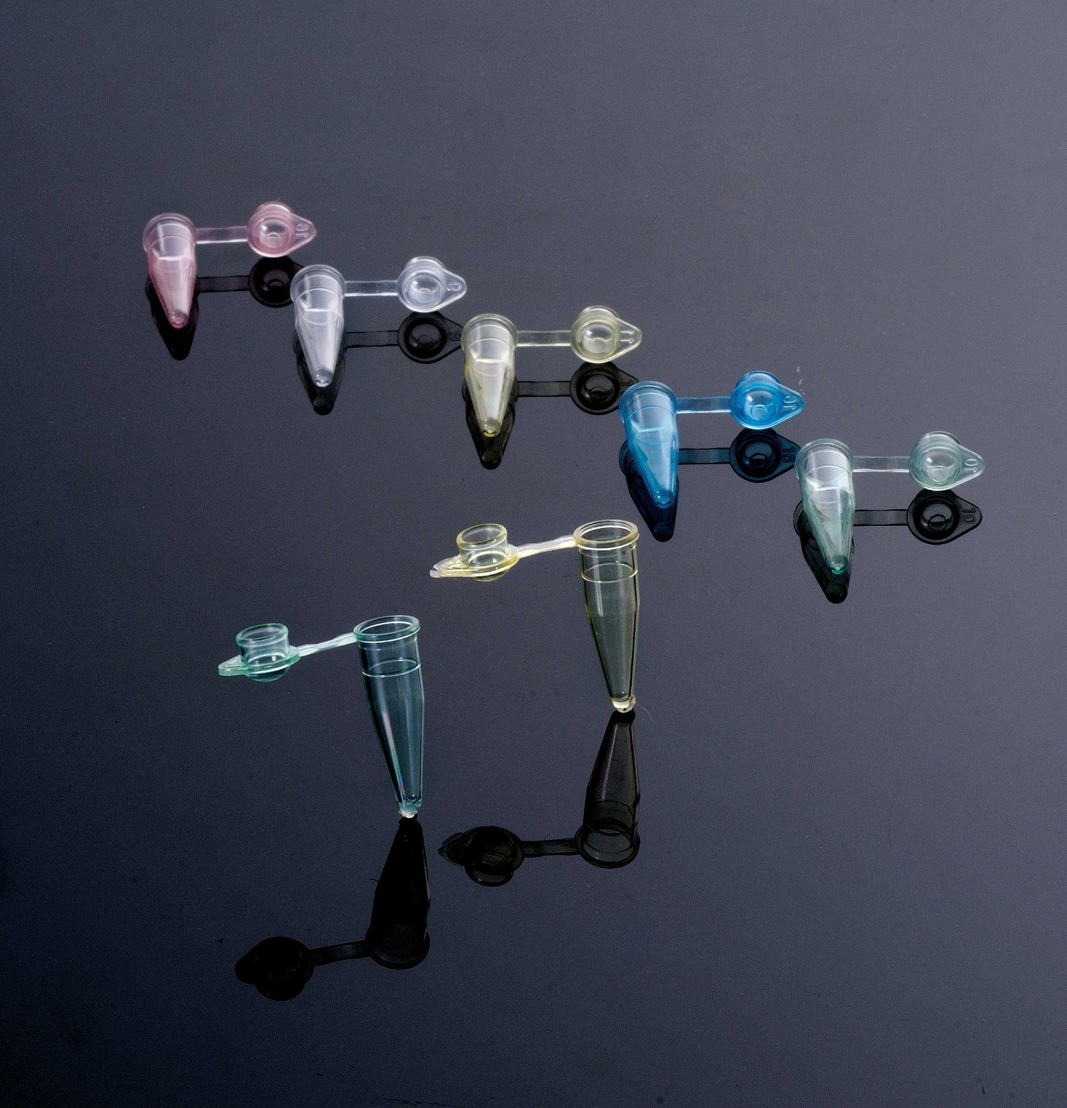 1631251446263244.jpg _DSC4832.jpg