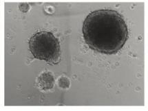 1664270371259556.jpg 3D.jpg