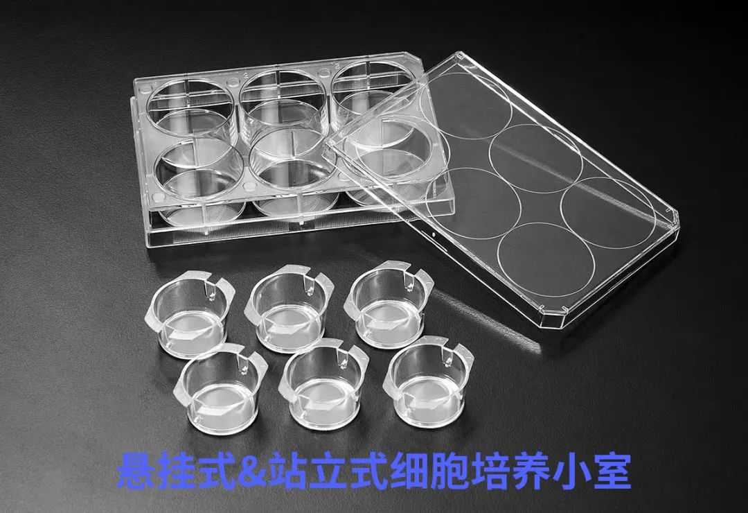 1664278224509647.jpg 微信图片_20220927193010.jpg