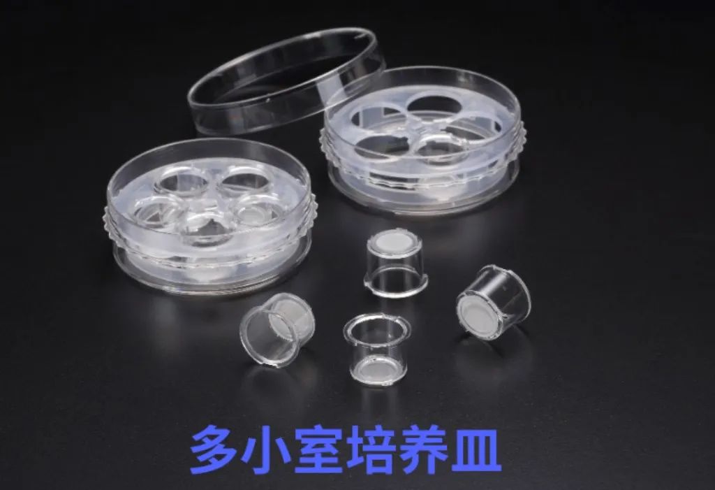 1664278278422850.jpg 微信图片_20220927193016.jpg