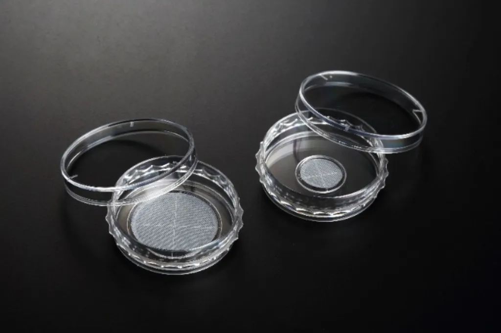 1664278555791026.jpg 网格状培养皿.jpg