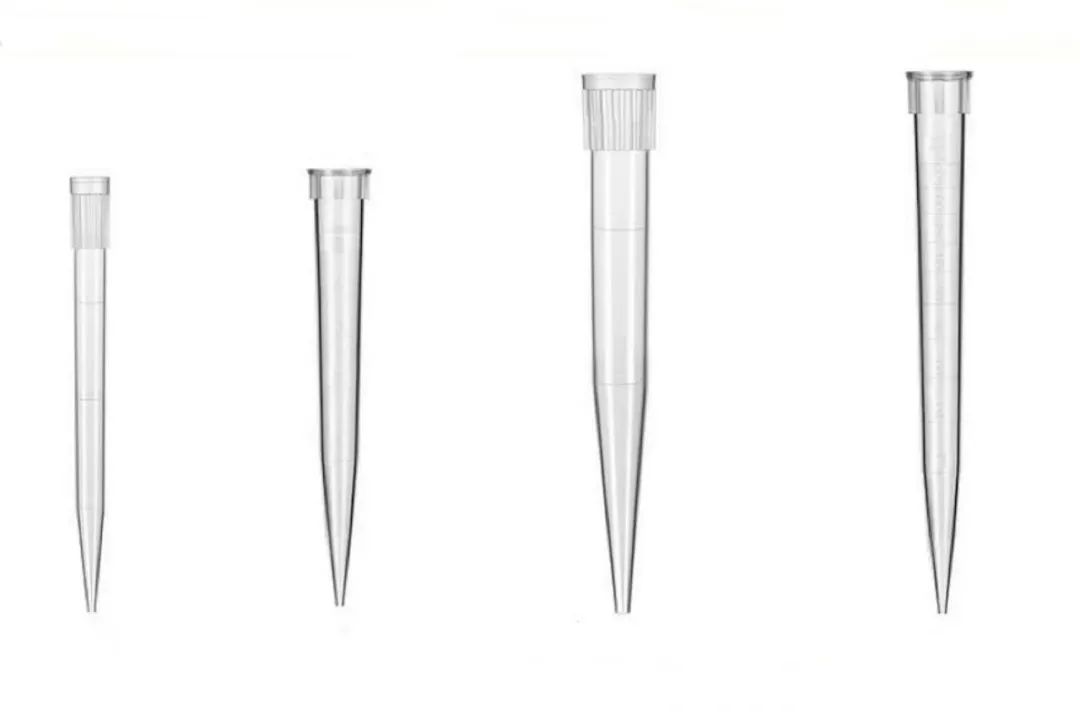 1690766144794663.jpg 1690766144794663.jpg