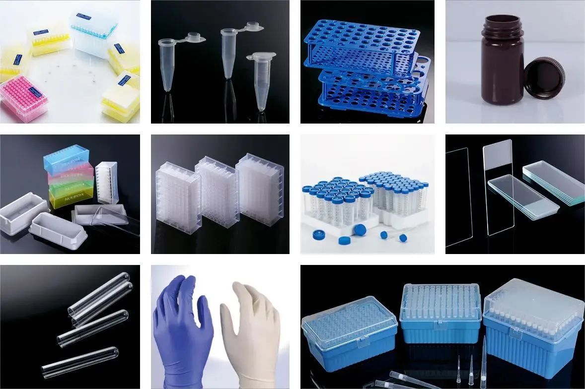 1692758652503567.jpg 1692758652503567.jpg