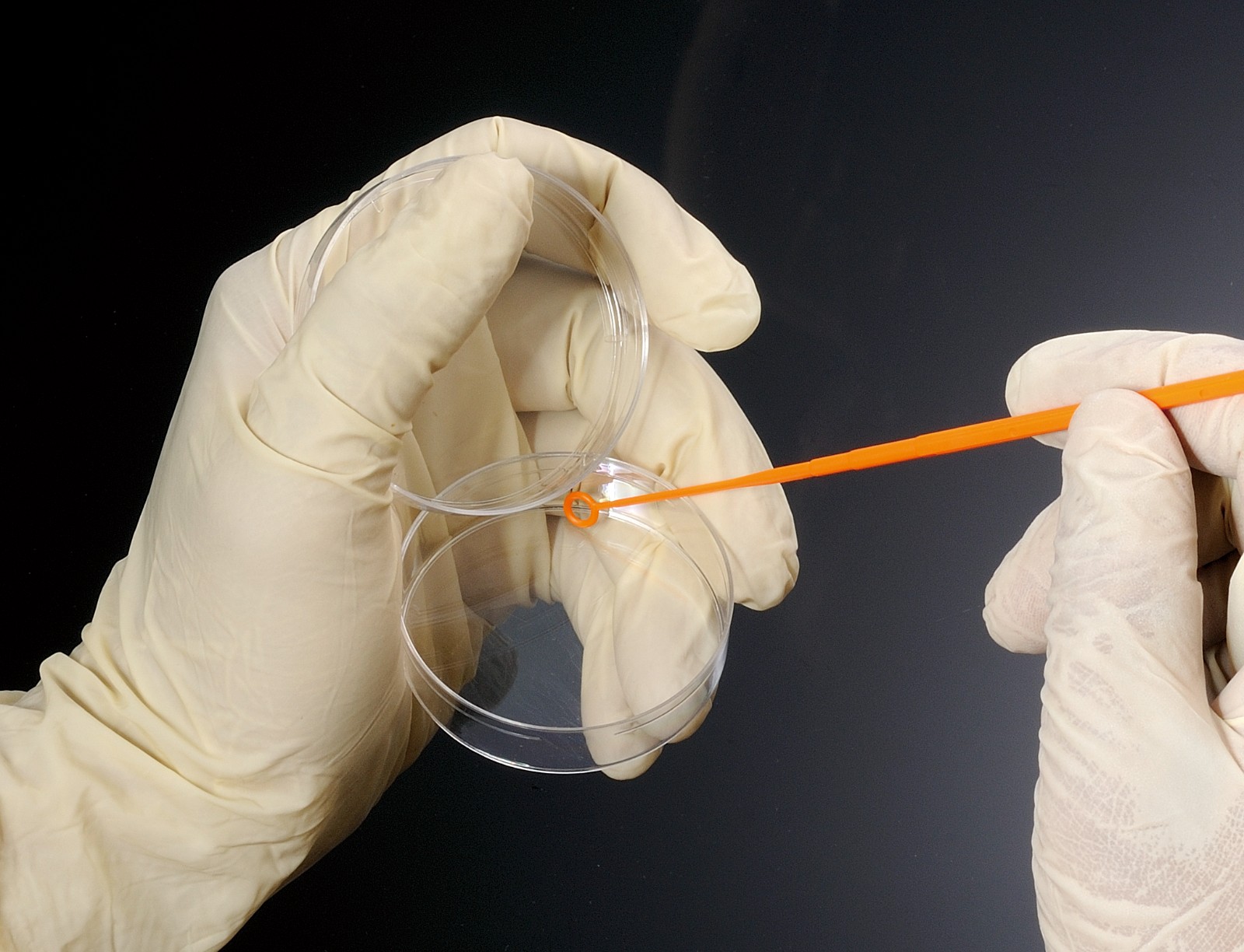 1700470528696766.jpg 1700470528696766.jpg