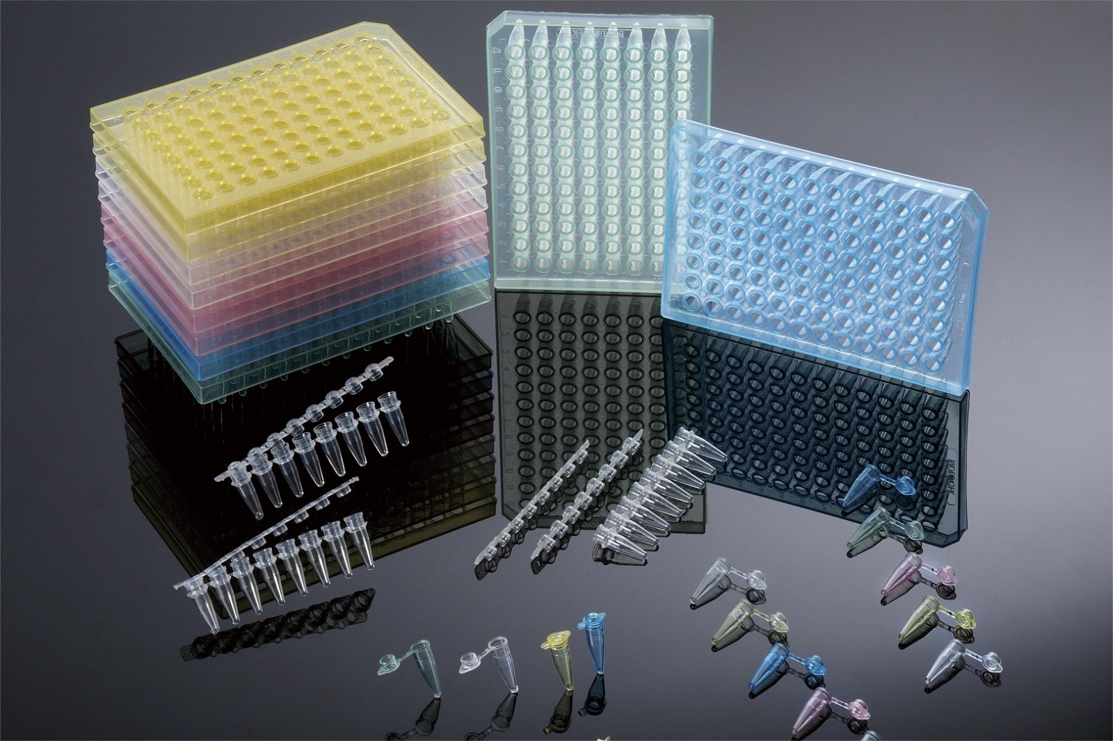 1708666957406960.jpg 1708666957406960.jpg