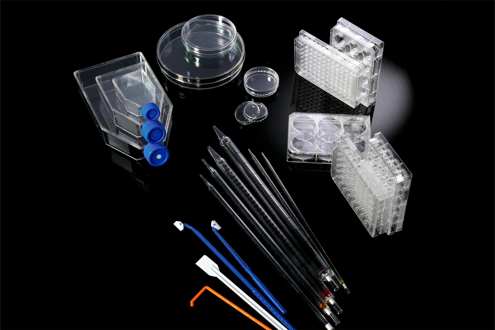 1708666957768280.jpg 1708666957768280.jpg