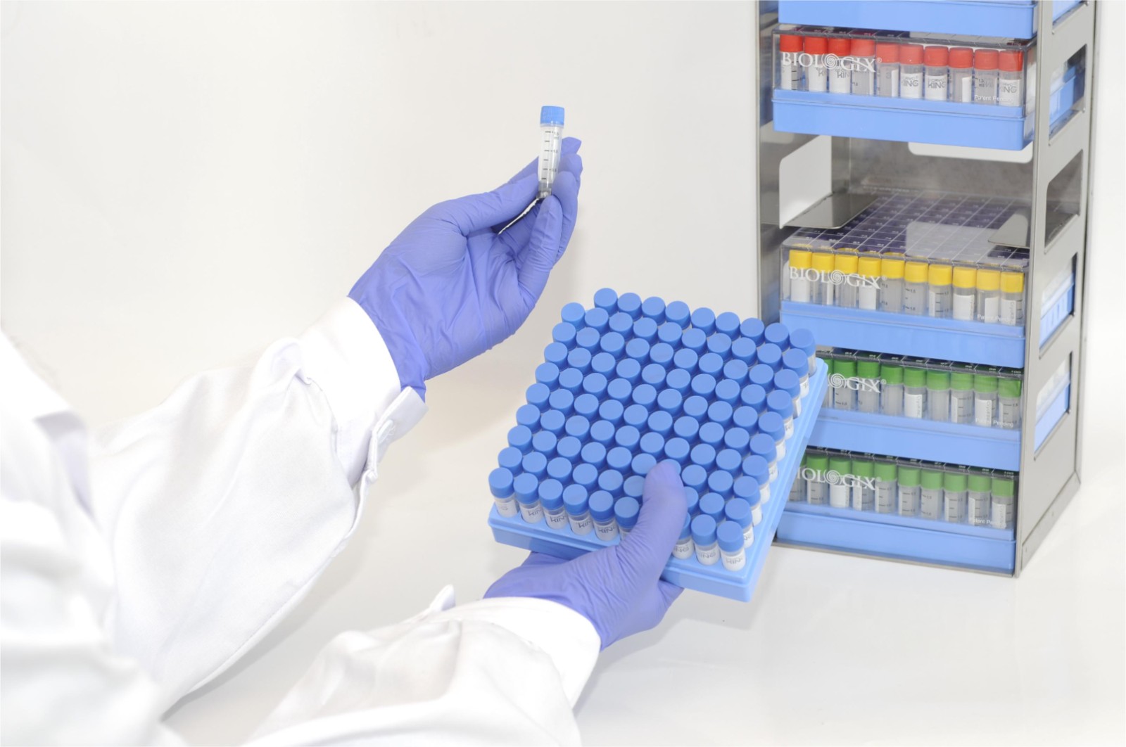 1710826298568981.jpg 1710826298568981.jpg