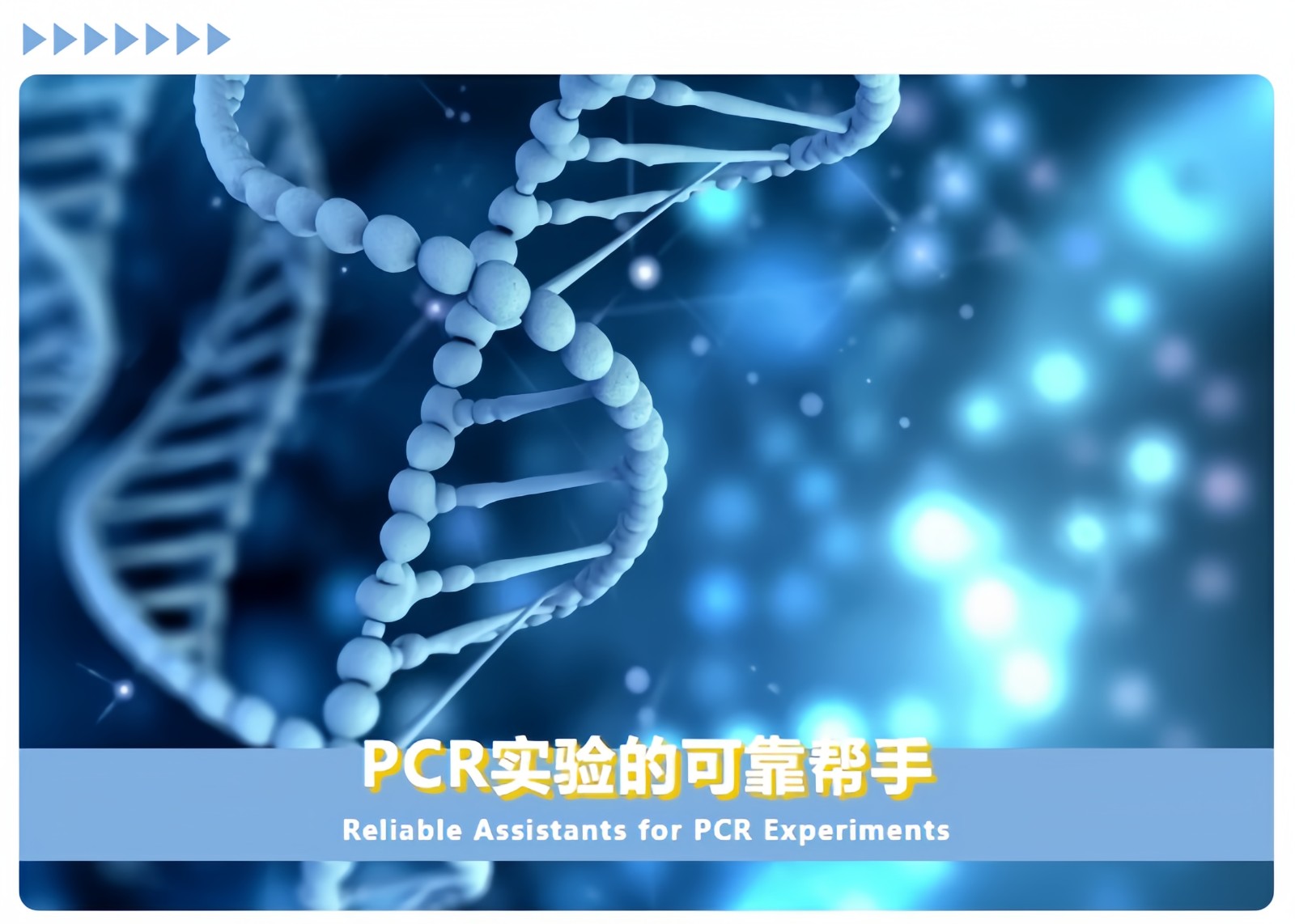 1712625162720916.jpg 微信图片_20240409091215.jpg