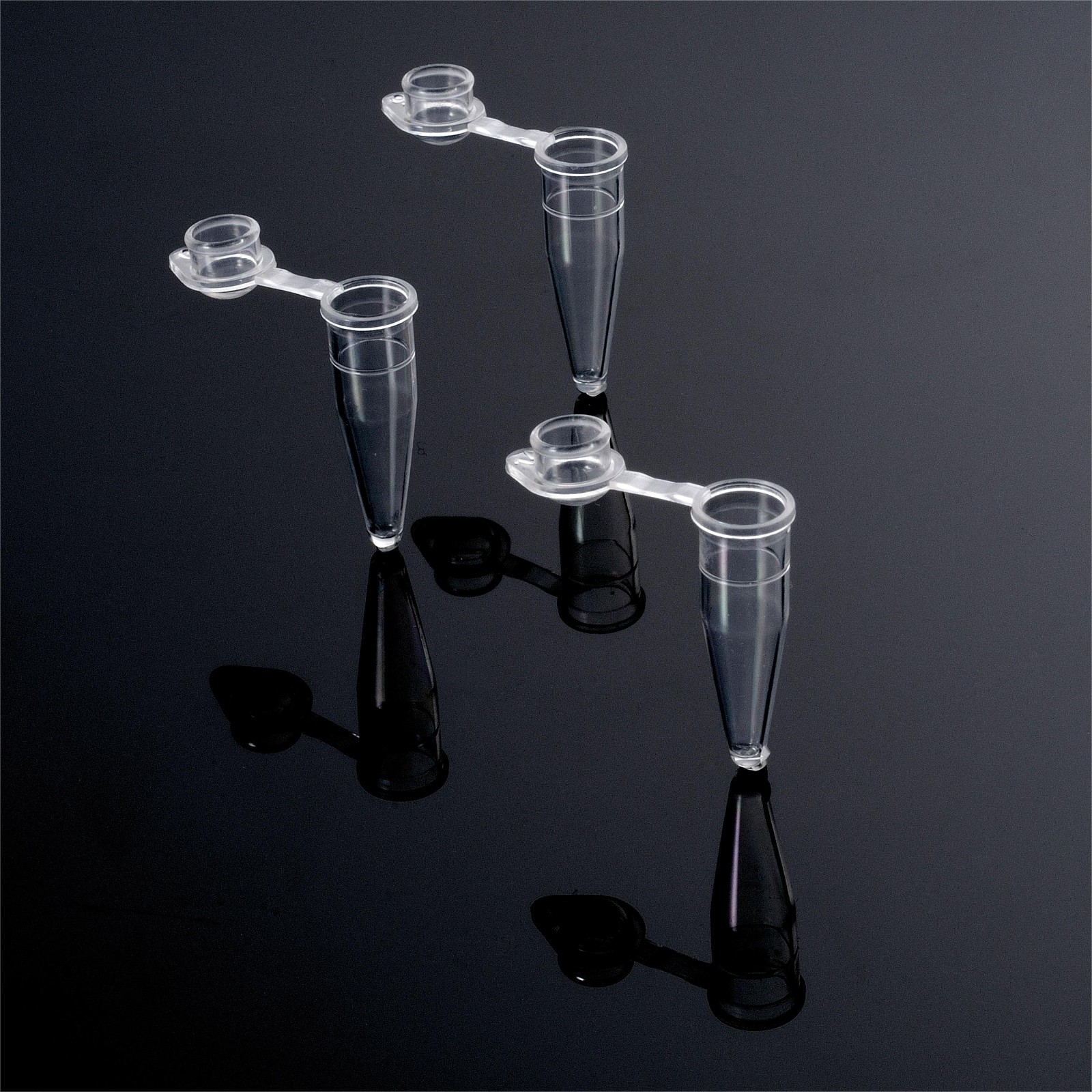 1712625292578768.jpg 1712625292578768.jpg