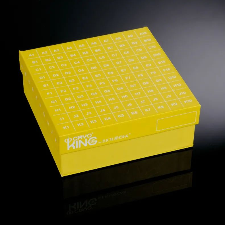 1715394477327236.jpg 640 (3).jpg