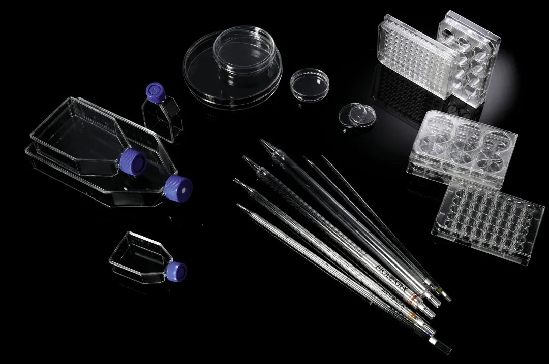 1718605182622927.png 1718605182622927.png