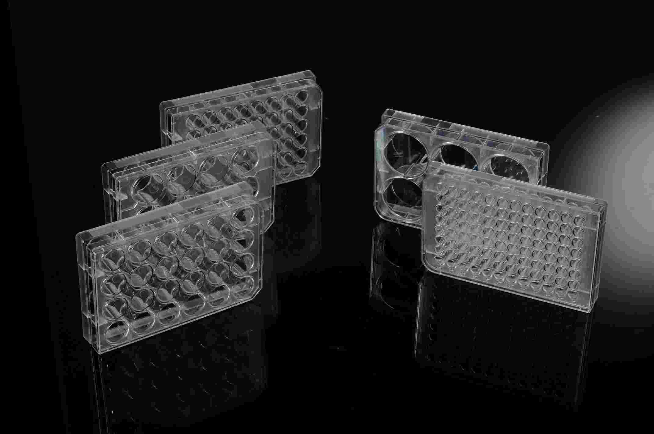 1725612302738580.jpg 1.jpg