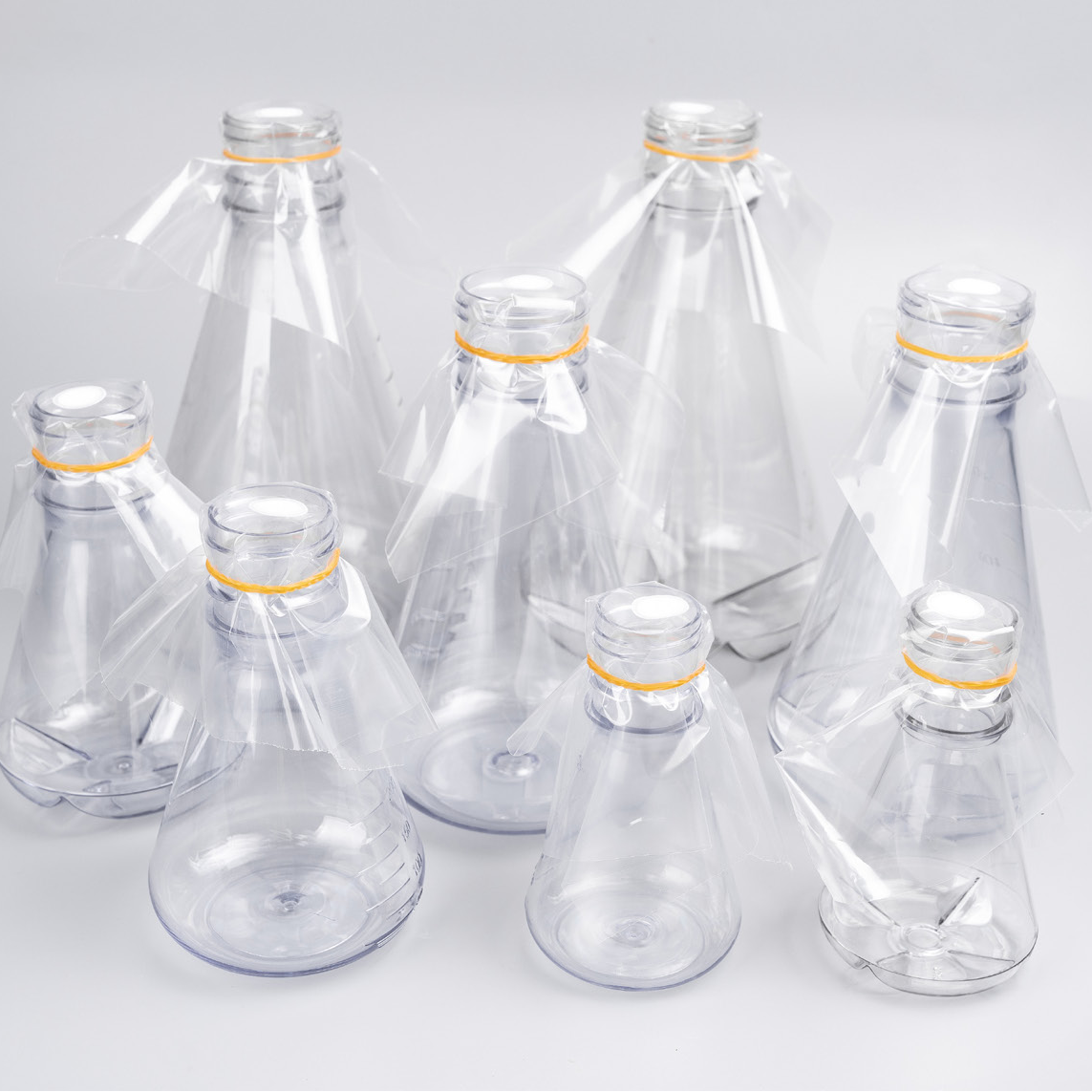 细菌培养锥形瓶